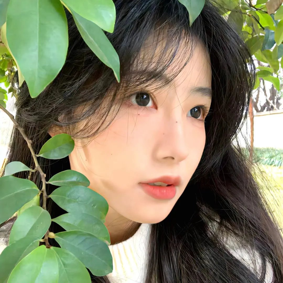莉香：倒带